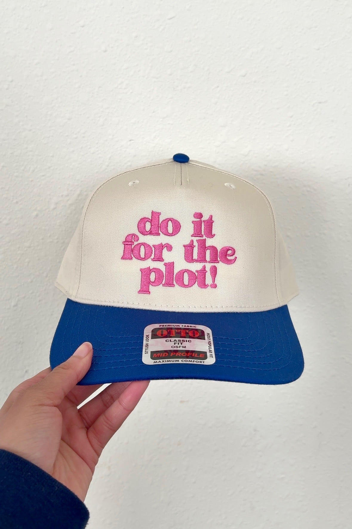 Do It for the Plot Embroidered Hat